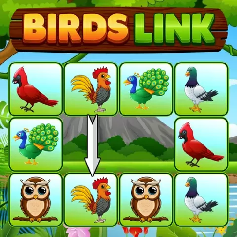 Birds Link